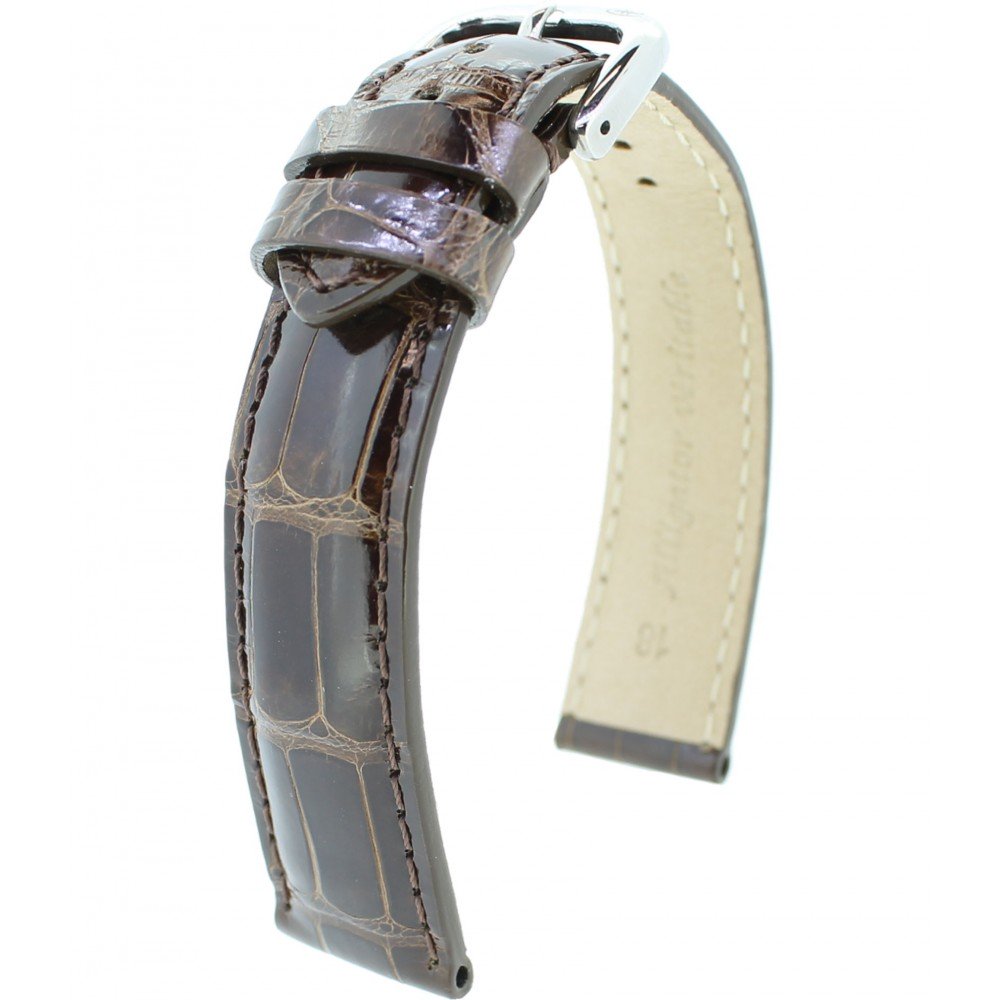 Alligator Brillant RF M