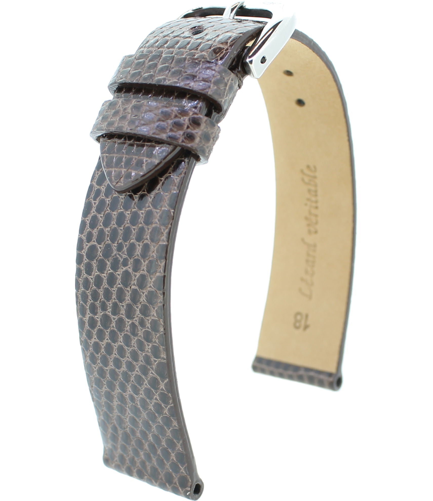 Eidechse echt ON RF M