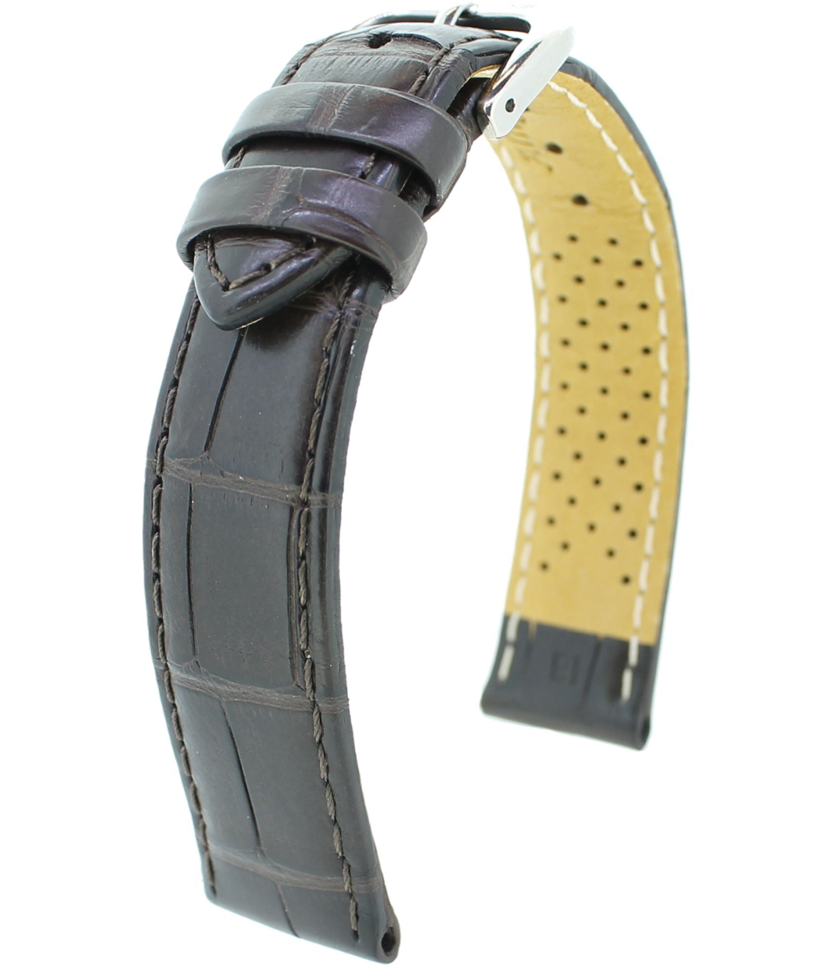 Alligator Safari RF M