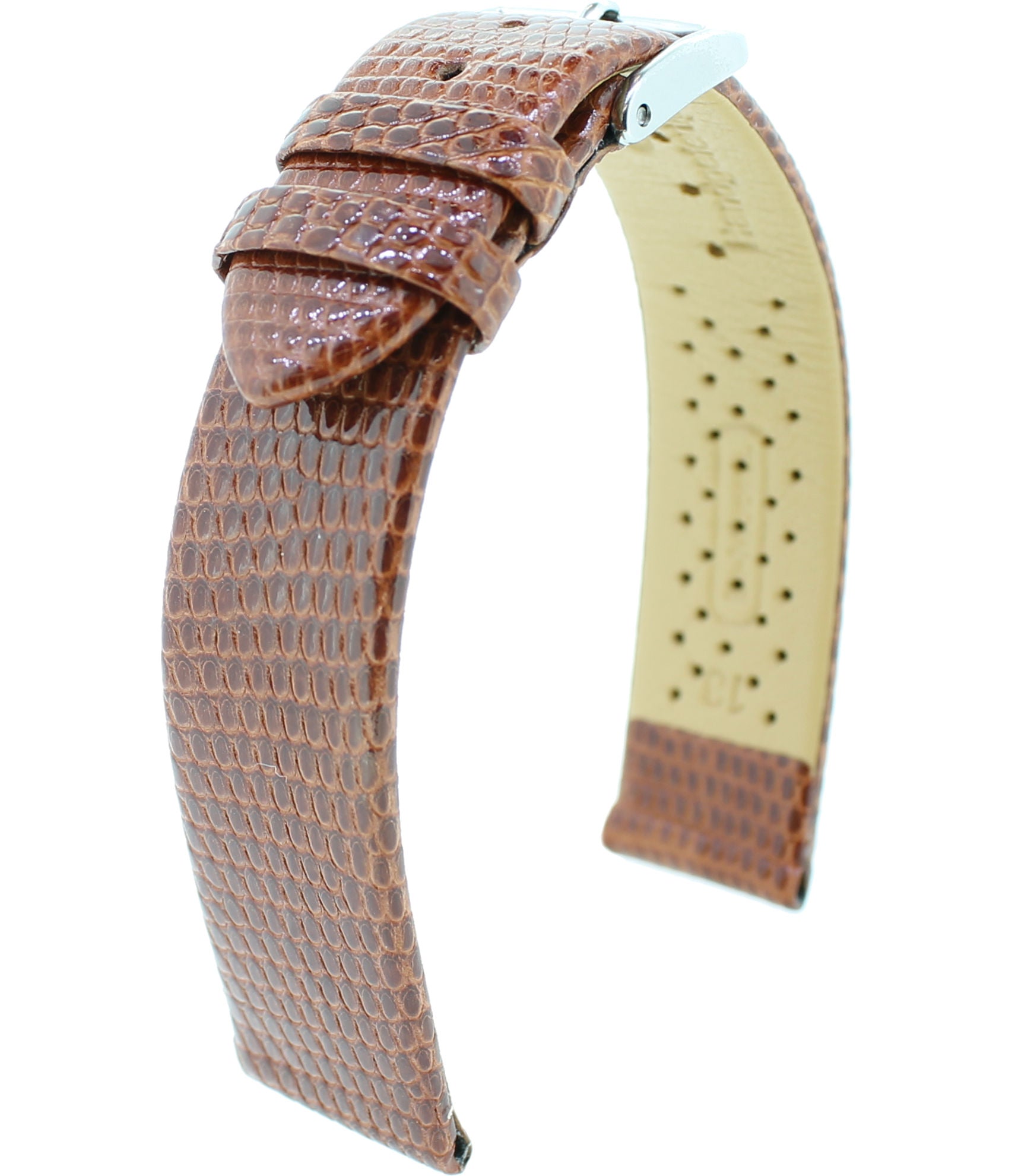 Eidechs echt offen M