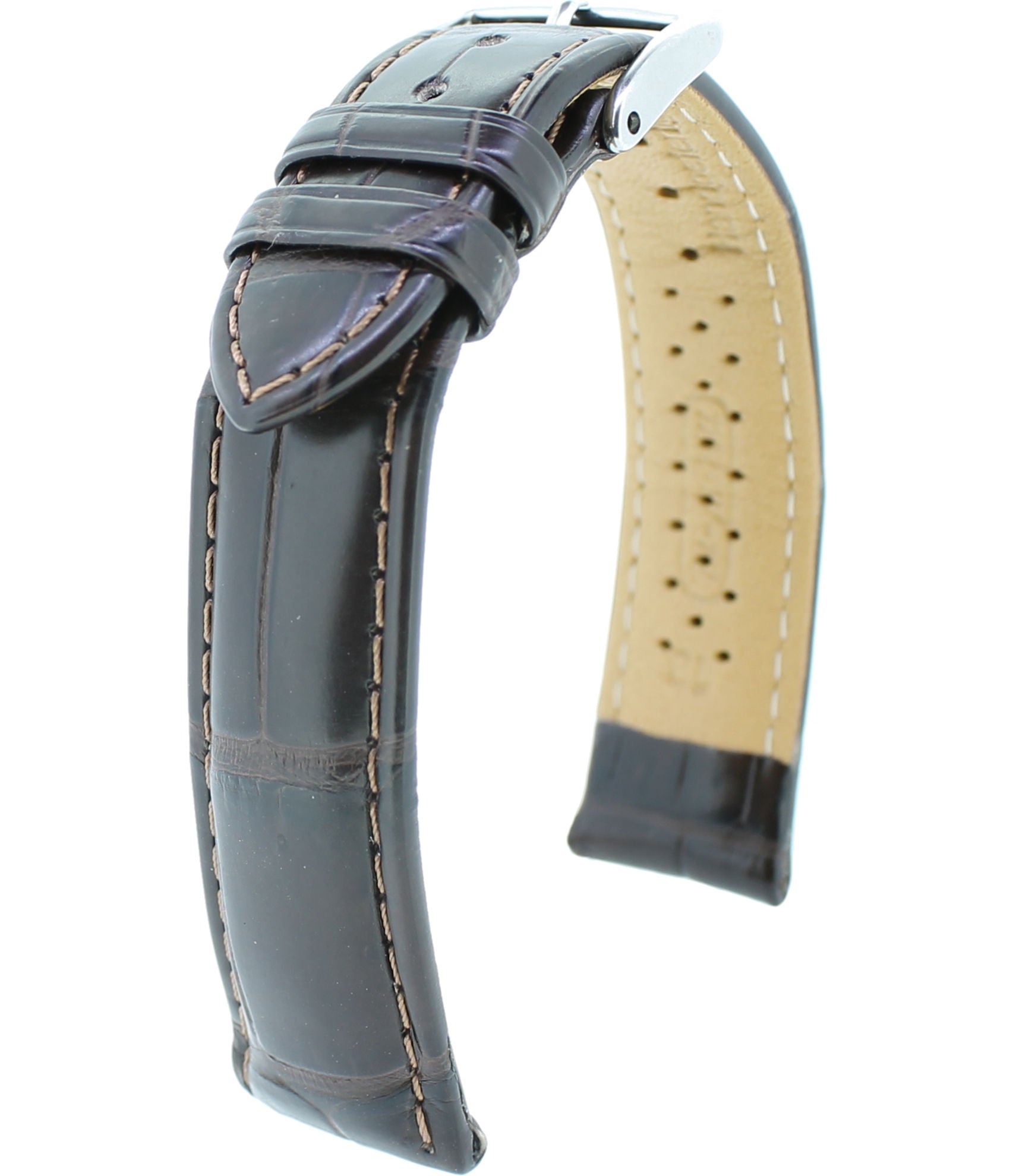 Louisiana Alligator L