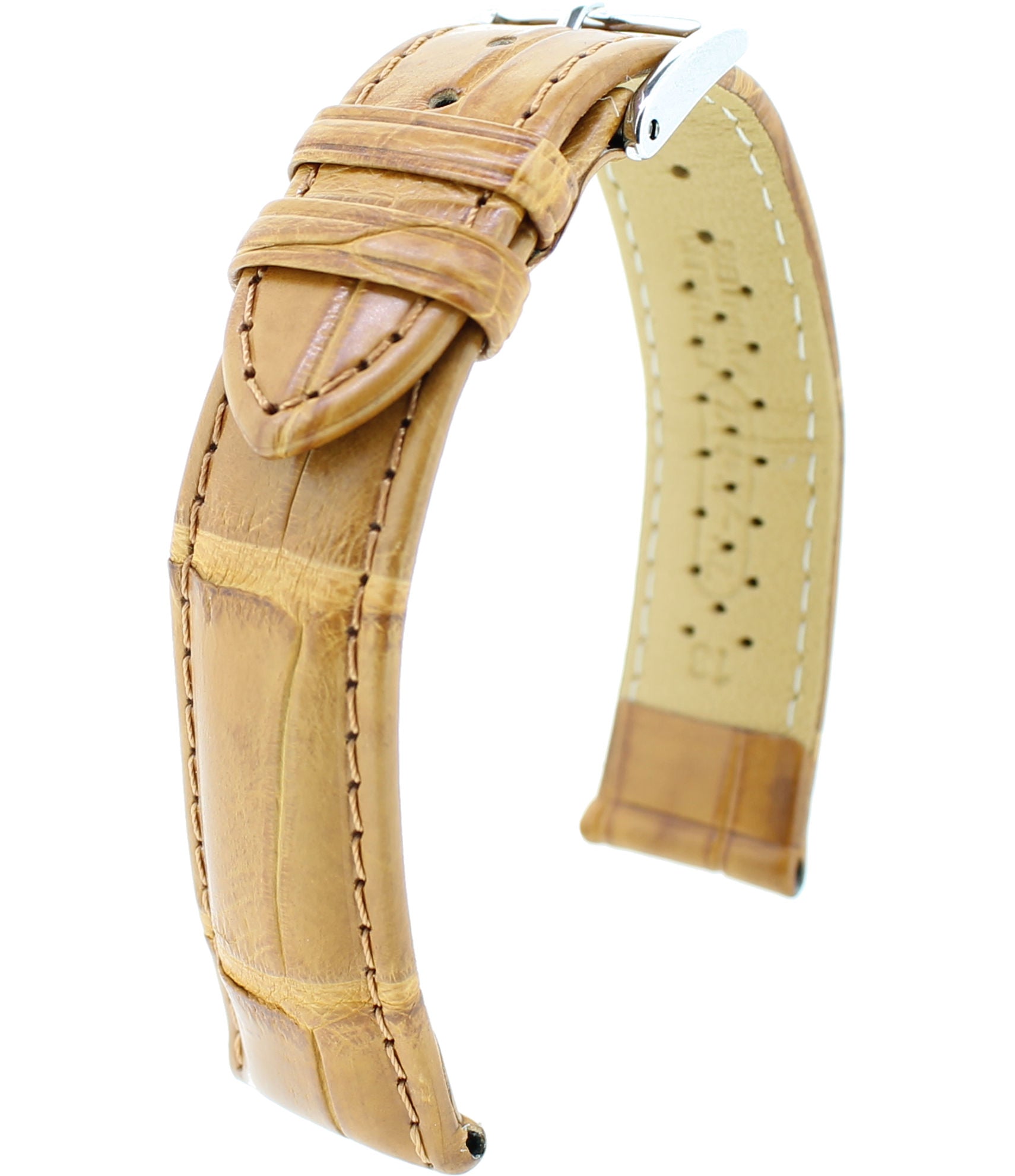 Louisiana Alligator S