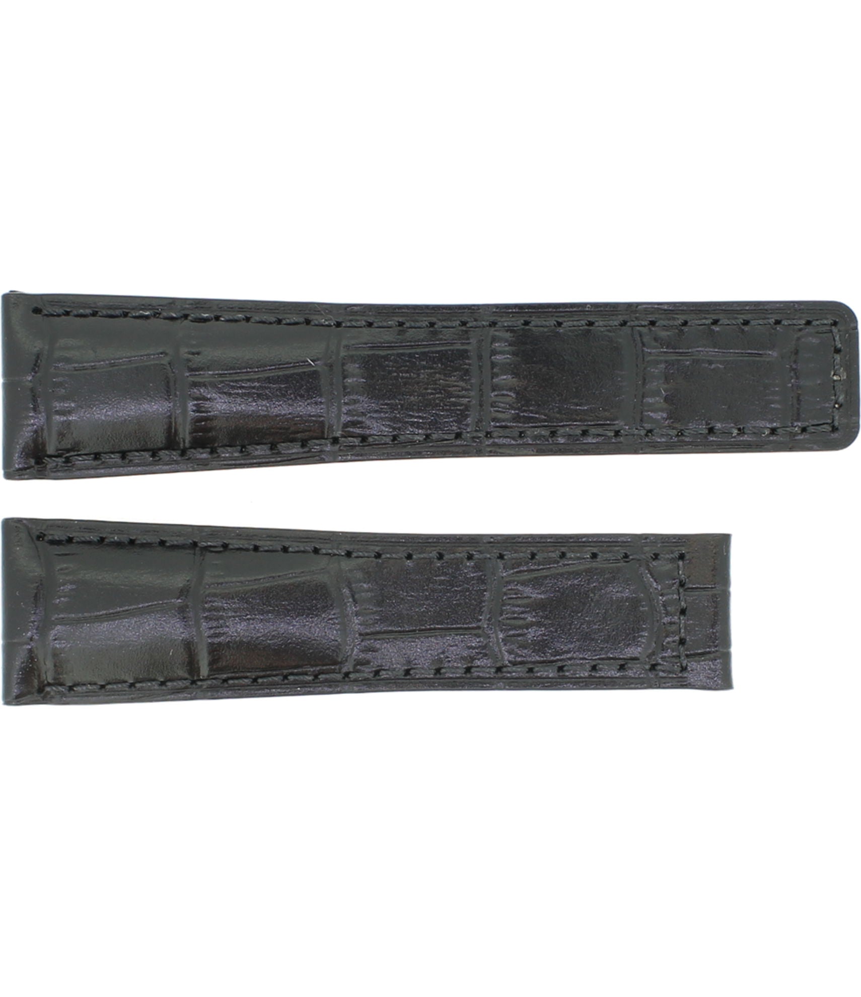 Alligator Decor Carrera RF M