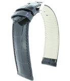 AlligatorPräg. 0931 L