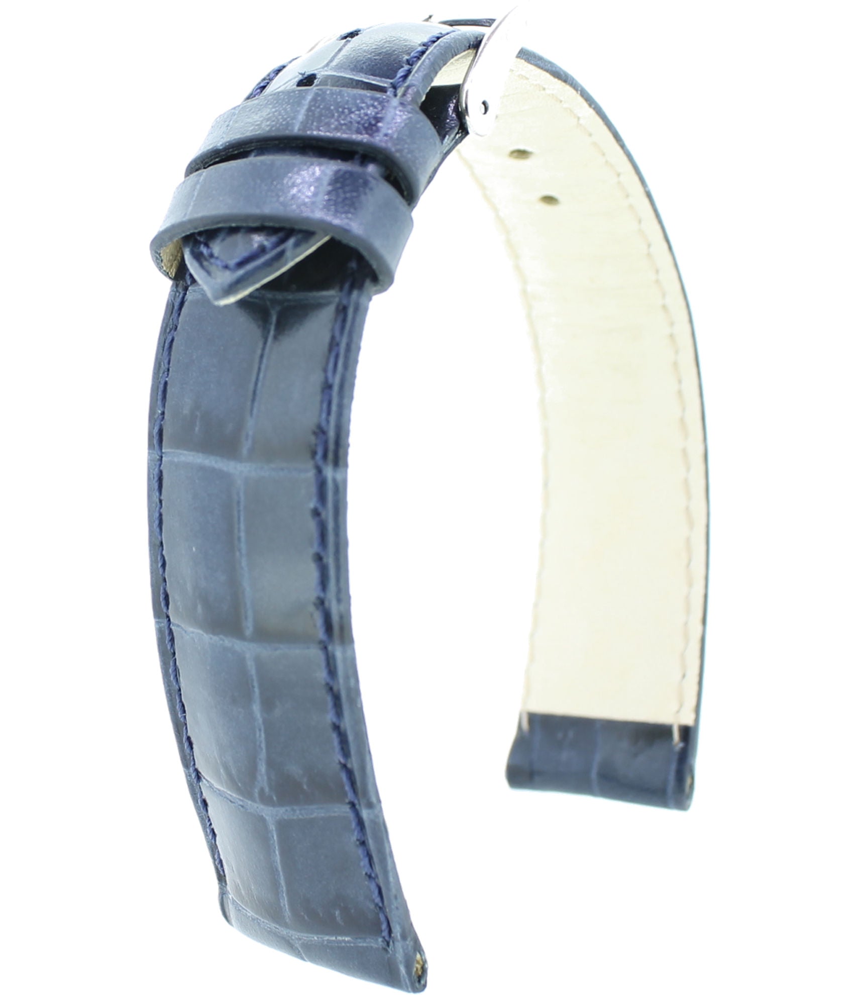 AlligatorPräg. 0931 L