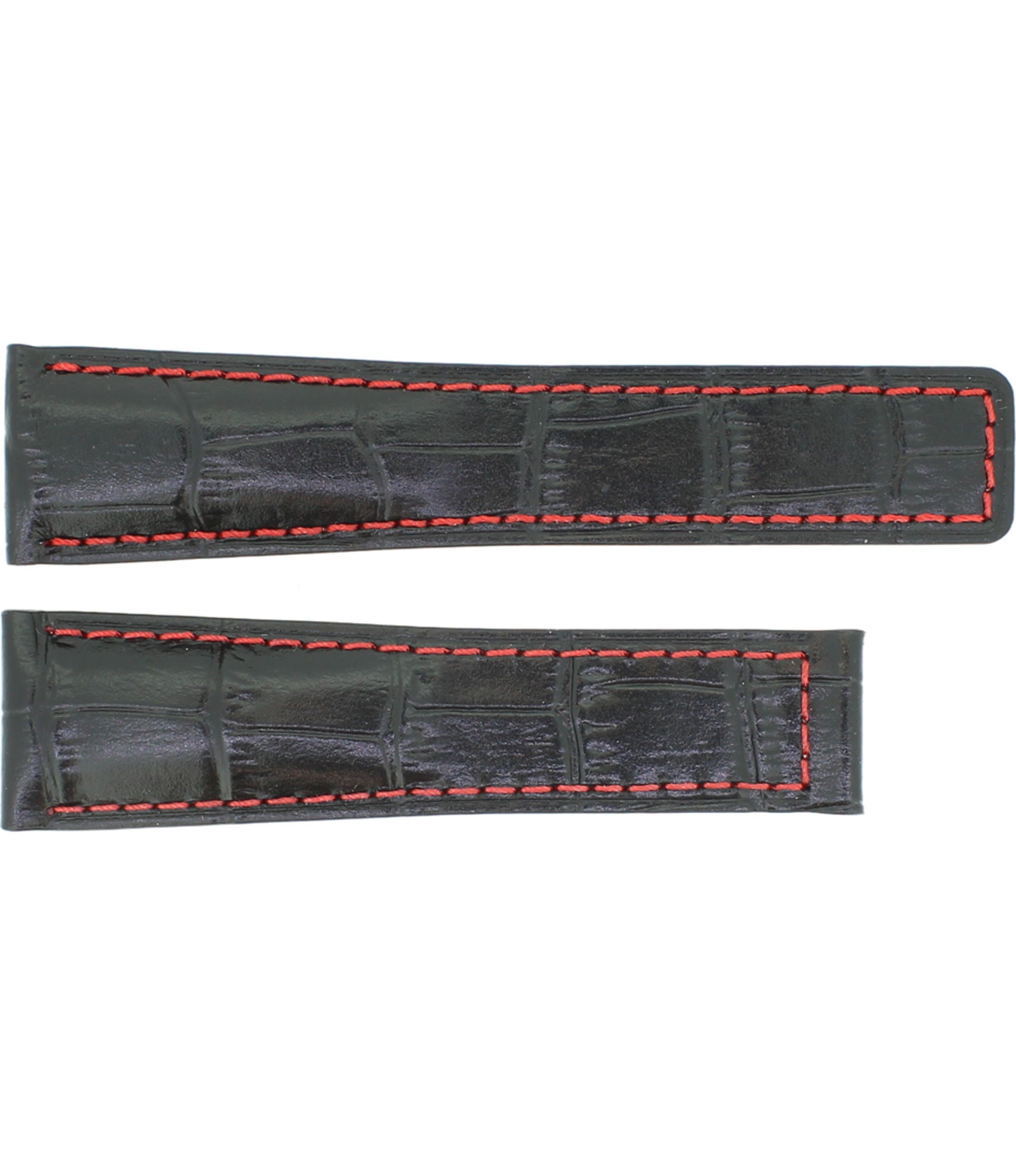 Alligator Decor Carrera RF M
