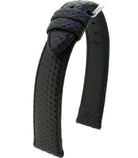 Rodeo RF M