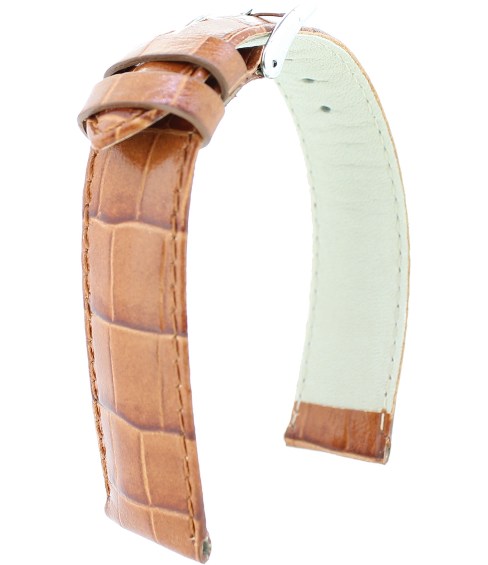 AlligatorPräg. 0931 L