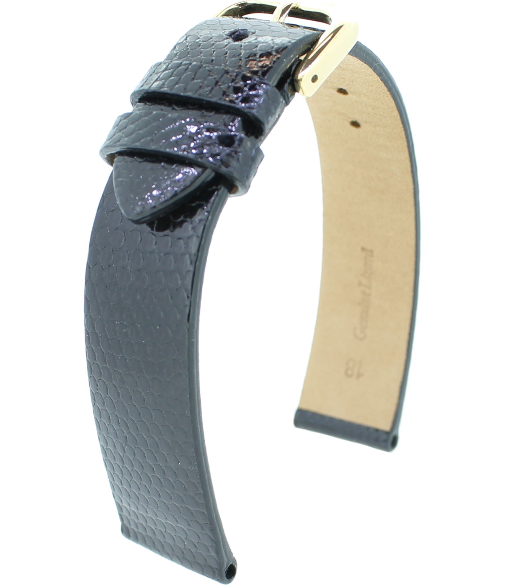 Eidechse echt ON RF S