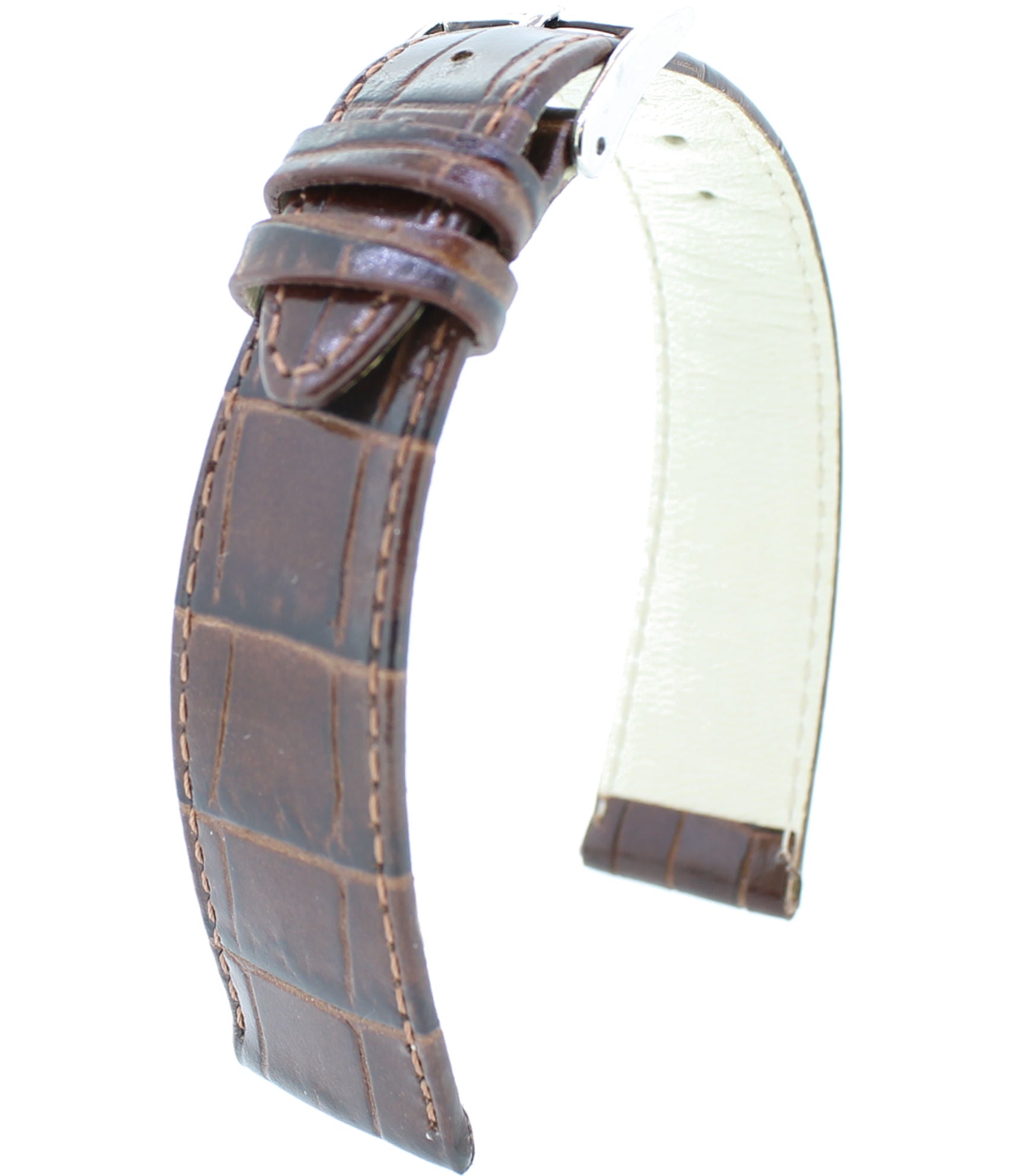 AlligatorPräg. 8449 S