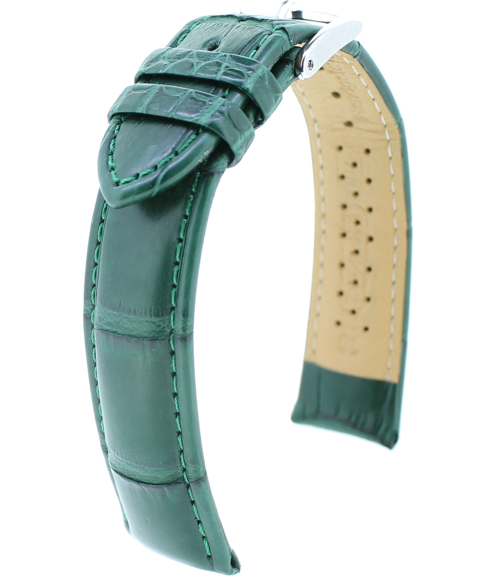 Louisiana Alligator M