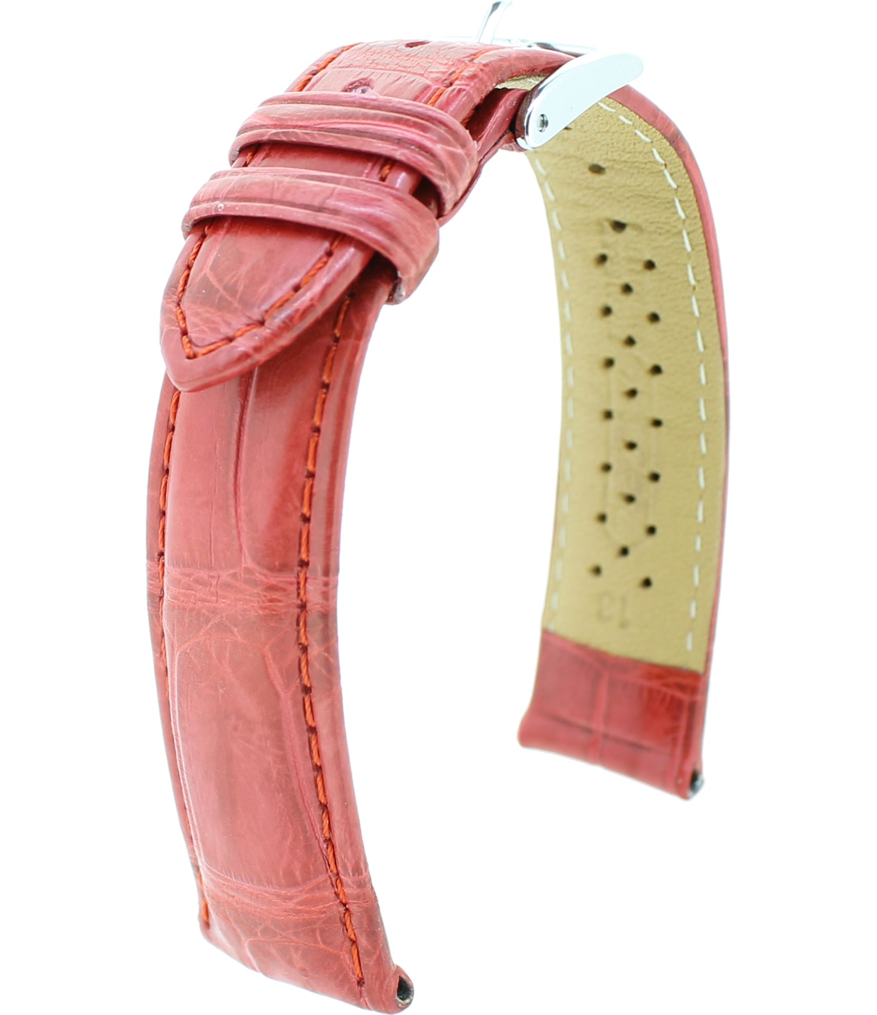 Louisiana Alligator M