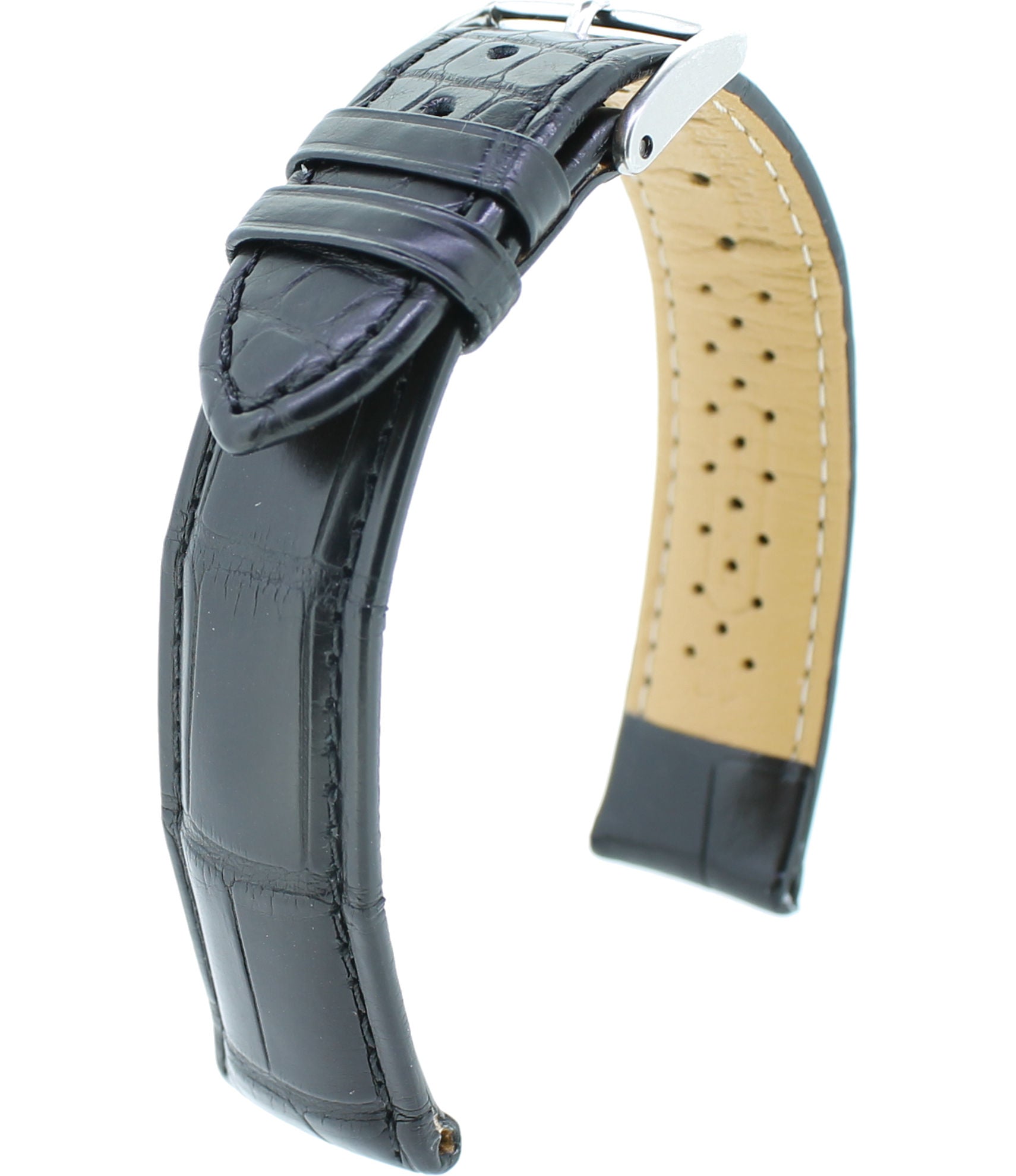 Louisiana Alligator S