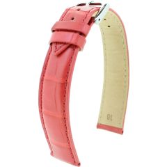 Alligator Safari RF rot